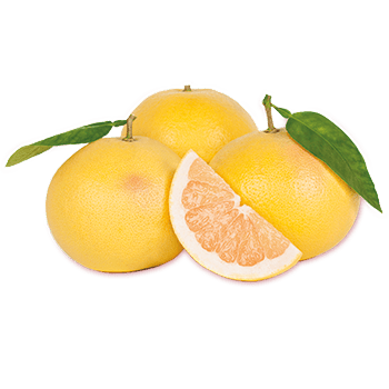 ZENGO EXPRESS GRAPEFRUIT WHITE