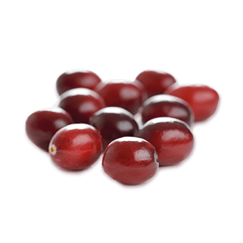 ZENGO EXPRESS CRANBERRY DRINK